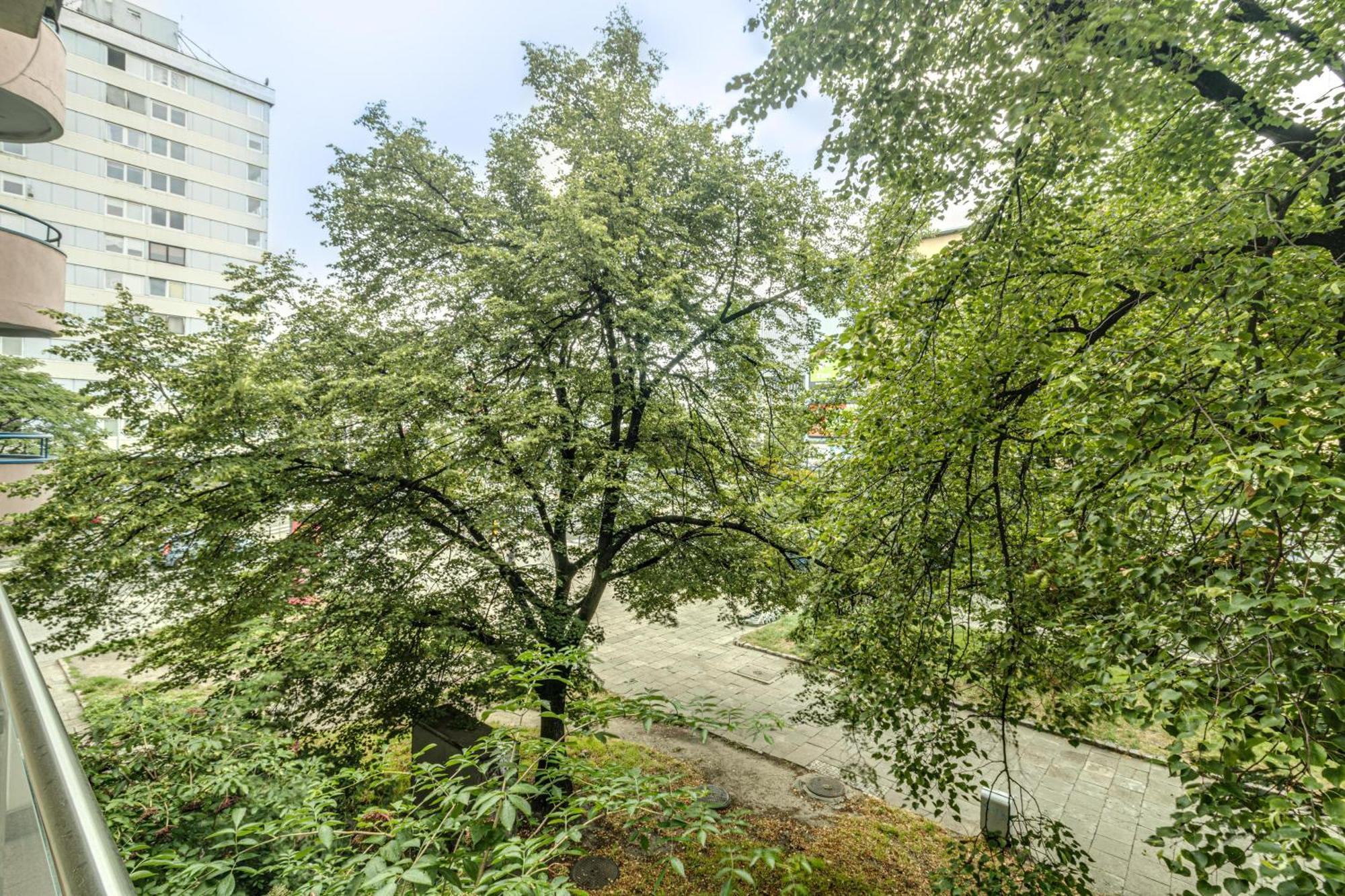 Rentplanet - Apartament Kosciuszki Вроцлав Екстер'єр фото